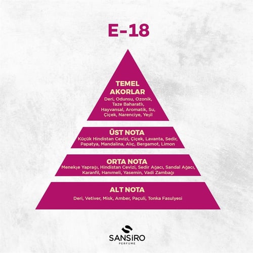 E-18 Erkek Parfüm 50ml Edp